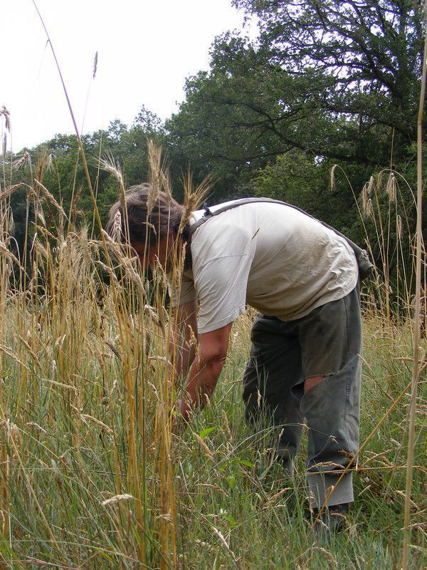 4.9 - soleil fleurte l'éclipse - a sun lives at night - 2 p