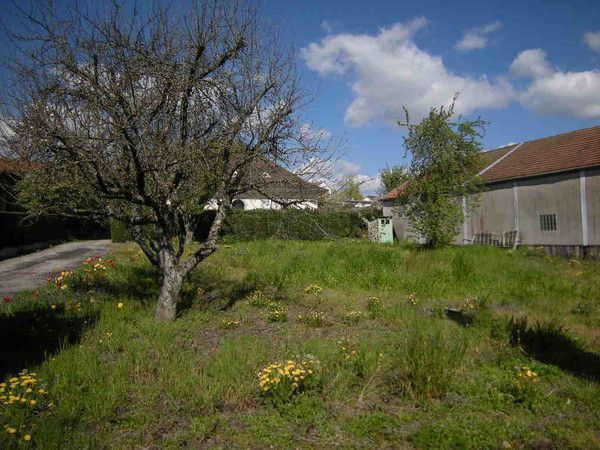 c13.maladie sexuellement transmissible /112. j.potentiel p1K