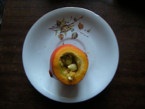 iCm humicides l'énergie sol les non-humains limace 2p1