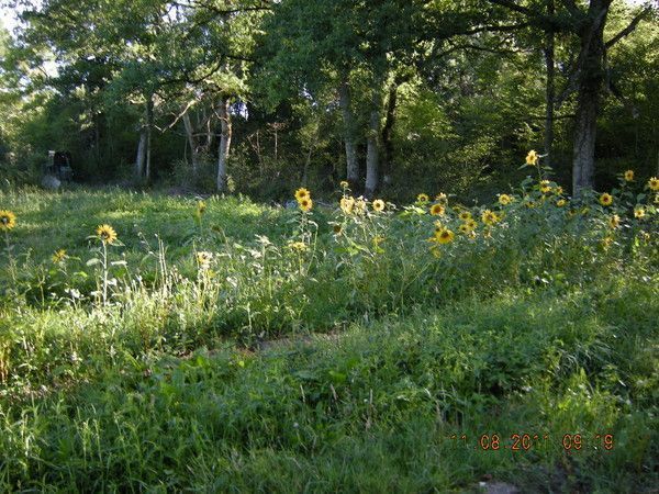 13.7 La variété des manifestations humaines.