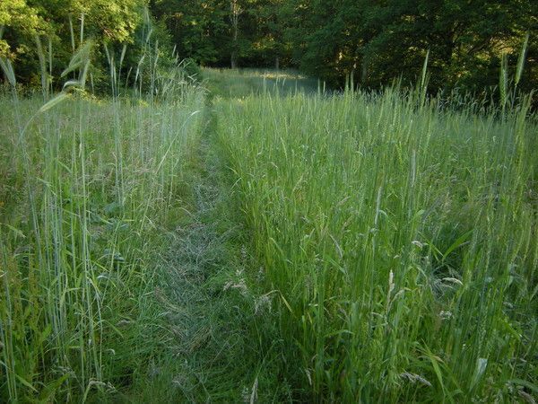 13.6 - la trinité de l'être - a three-fold being - p