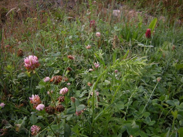 13.5 - se préparer longtemps, agir en célérité / 4p6K