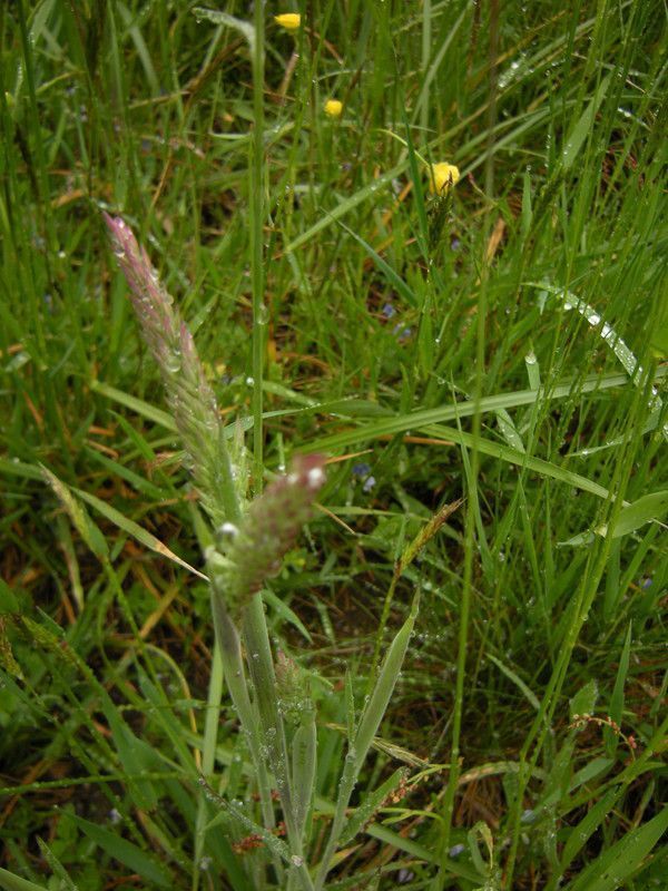 p 16 - w 5mvts formes/énergie engendrementcontrôle/adv.p*C