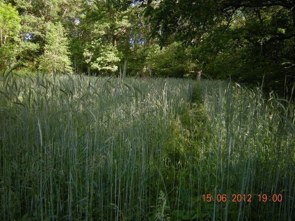 13.7 - l'ailleurs de l'écoute - speech or say - p