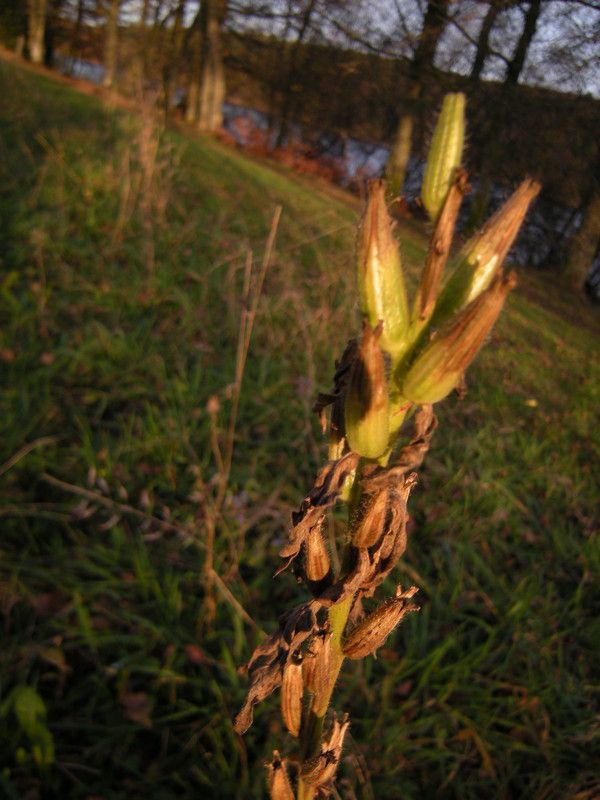 terreux au front Mars ternaire sel Let the circle grow. 2p2K