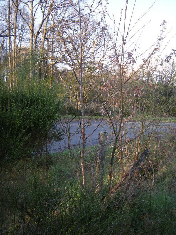 Promenade Au Jardin De Lili Dans Le Poitou 2015