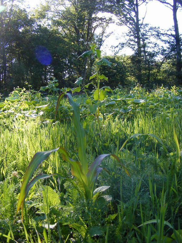 13.5.4 - une parenthèse de cent ans - a century of decay - p
