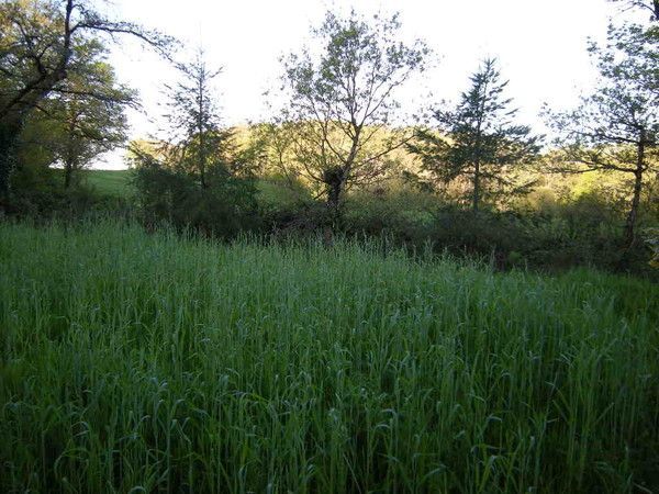 e5. le cheminement de l'agriculture il y a 25 000 ans / p1K