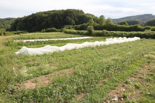 13.4 une machette, une boussole & un pas suffisent 5 5p2K