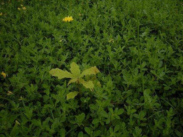 13.5.3 - jouir du fruit de l'acte ou non est la question - p